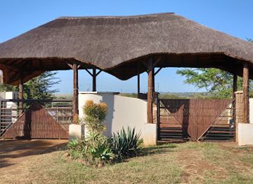 south-africa/zululand/attraction/zululand-ubizane-safari-lodge