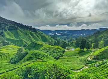 malaysia/central-region/attraction/kuala-lumpur-city-tour