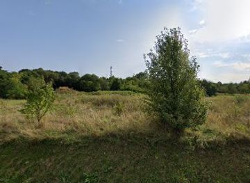 hungary/szombathely/attraction/szentkiralyi-tozegmocsar