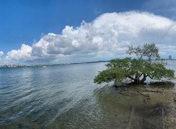 florida/sarasota-beaches/attraction/city-island