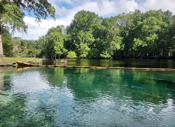 florida/santa-fe-river/attraction/rum-island-springs-county-park