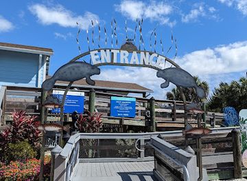 florida/sun-coast/attraction/manatee-viewing-center