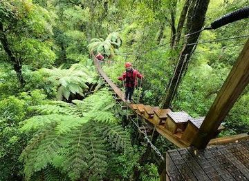 new-zealand/tauranga/attraction/rotorua-canopy-tours