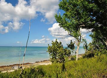 dominican-republic/la-romana/attraction/east-national-park