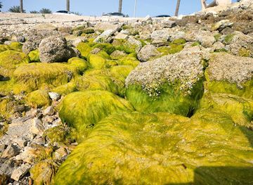 bahrain/sitra/attraction/fishermen-boats