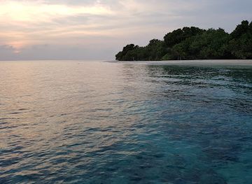 maldives/haa-alif-atoll/attraction/alidhoo