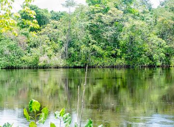 guyana/berbice-river/attraction/lucky-spot