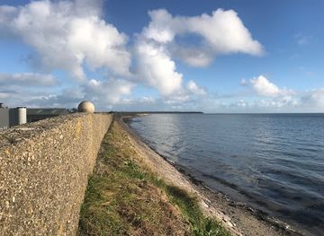 ireland/county-wexford/attraction/wexford-wildfowl-reserve