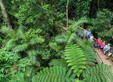 australia/atherton-tablelands/attraction/billy-tea-safaris