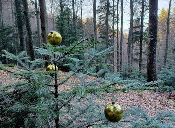 croatia/medvednica-mountain/attraction/park-prirode-medvednica-zagrebacka-ulica