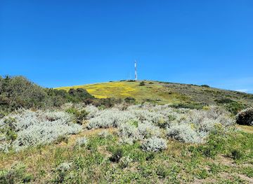 south-africa/cape-town/attraction/tygerberg-nature-reserve