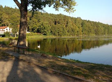 poland/bory-tucholskie/attraction/skwer-im-alfonsa-hoffmanna