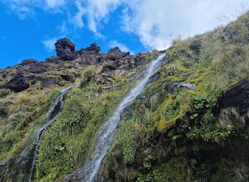 new-zealand/manawatu-wanganui/attraction/soda-springs