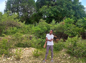 ethiopia/harar/attraction/green-land