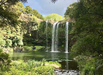 new-zealand/whangarei/attraction/scenic-reserve