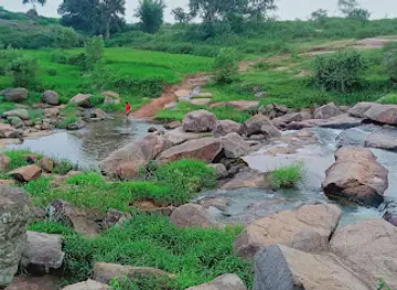 Sarna fall