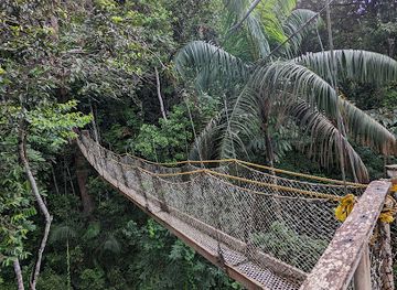 guyana/kaieteur-national-park/attraction/iwokrama-canopy-walkway
