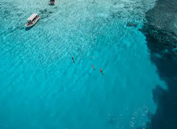 Shark City
