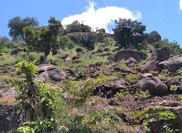 uganda/west-nile/attraction/mountain-wati