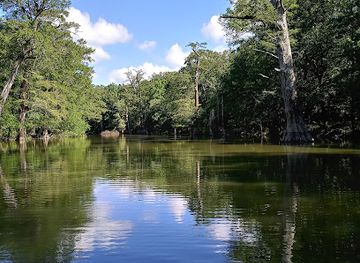 arkansas/delta/attraction/white-river-national-wildlife-refuge