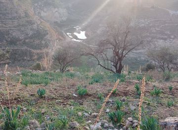 jordan/umm-qais/attraction/aban