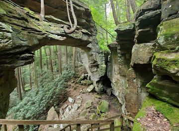 kentucky/big-south-fork-national-river-and-recreation-area/attraction/split-bow-arch