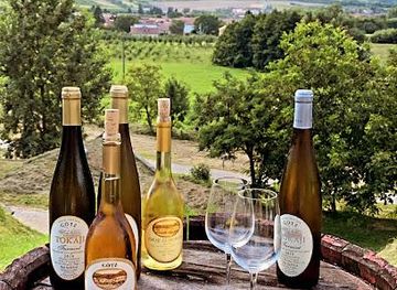 hungary/bodrogkoz/attraction/gotz-pinceszet-gombos-hegyi-pincesor