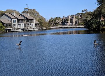 south-carolina/kiawah-island/attraction/heron-park-nature-center