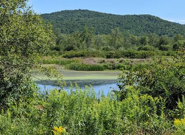 massachusetts/mount-greylock-state-reservation/attraction/mass-audubon-canoe-meadows-wildlife-sanctuary