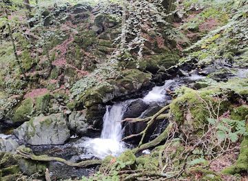 united-kingdom/snowdonia-national-park/attraction/torrent-walk-llwybr-clywedog