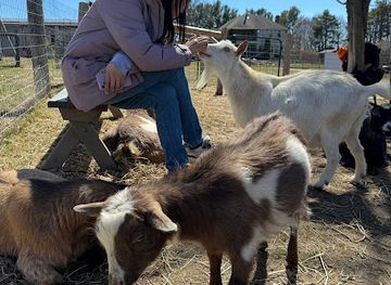 canada/eastern-ontario/attraction/haute-goat