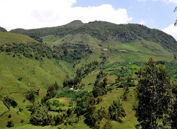 ethiopia/sidama-region/attraction/garanba-mountain-community-based-tourism-destination
