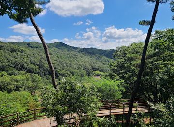 south-korea/daejeon/attraction/healing-forest