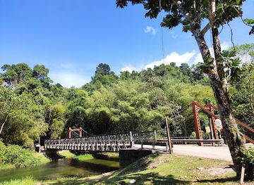 trinidad-and-tobago/sangre-grande/attraction/blanchisseuse-spring-bridge