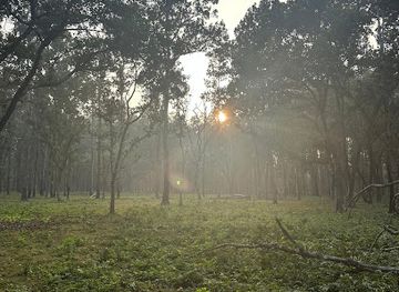 nepal/chitwan-national-park/attraction/chitwan-national-park-sauraha