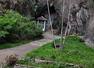 thailand/mae-hong-son/attraction/beautiful-banyan-tree-hanging-on-a-cliff