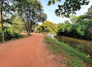 sri-lanka/matara/attraction/kirala-kele-sanctuary
