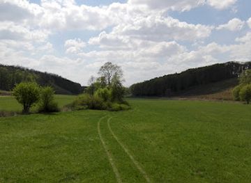 hungary/orseg-vendvidek/attraction/zselici-landscape-protection-area