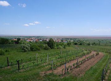 austria/neusiedler-see/attraction/aussichtsplattform-oggau