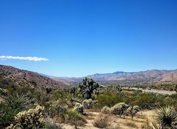 california/colorado-desert/attraction/big-morongo-canyon-preserve