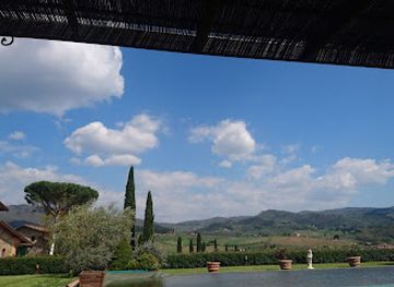 italy/chianti-classico/attraction/fattoria-viticcio