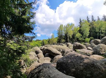 bulgaria/vitosha-mountain/attraction/moreni