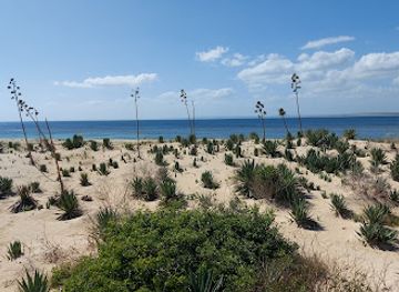 madagascar/atsimo-andrefana/attraction/red-tailed-tropicbird-reserve