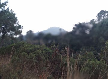 guatemala/quetzaltenango-xela/attraction/area-descanso