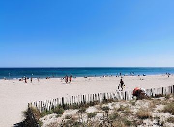 france/languedoc-coast/attraction/plage-des-aresquiers