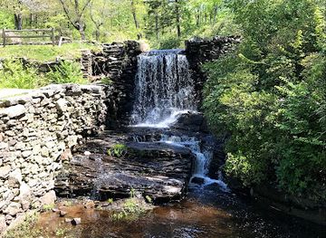 massachusetts/the-islands/attraction/moore-state-park