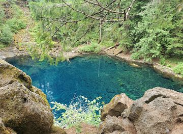 Tamolitch Falls