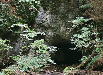 romania/prahova/attraction/pestera-gang