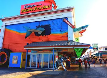 virginia/assateague-island/attraction/ripleys-boardwalk-shark