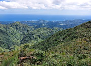 grenada/sauteurs/attraction/mt-st-catherine
